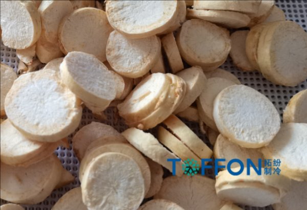 中藥材冷凍干燥機應用案例解析(一)